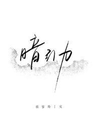 暗引力小说简介